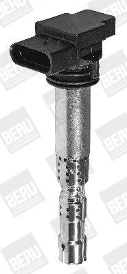 BorgWarner (BERU) Ignition Coil (ZSE031)