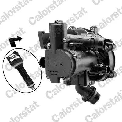 CALORSTAT by Vernet Thermostat, coolant (TFS7195.113J)