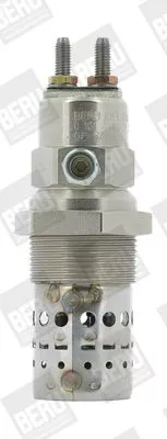 BorgWarner (BERU) Glow Plug (GF529)