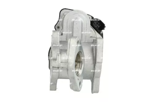 NRF EGR Valve (48329)