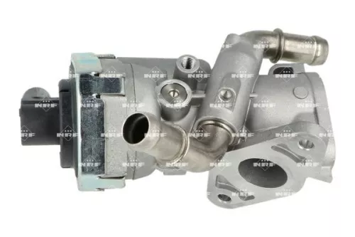 NRF EGR Valve (48376)