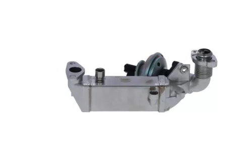 NRF EGR Valve (48365)