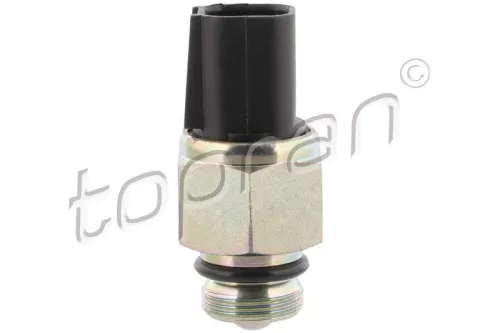 Switch, reverse light