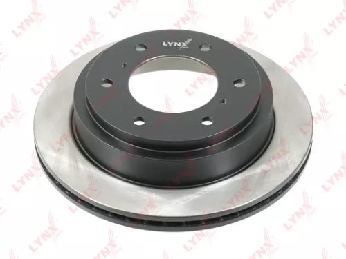 Brake disc, rear (300x22)