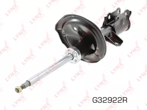 Shock absorber strut gas, right, front